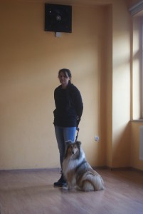 SONY DSC