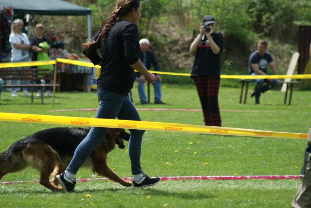 SONY DSC