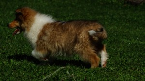 DSC02731