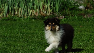 DSC02828