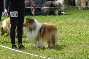 DSC07120