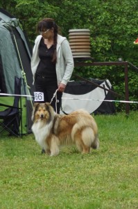 DSC07197