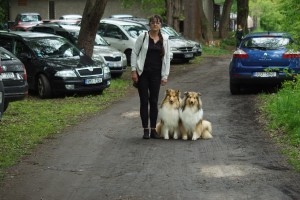 DSC07252