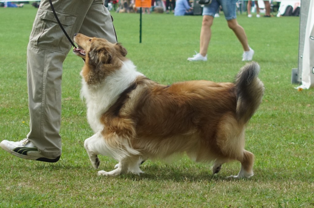 DSC05194