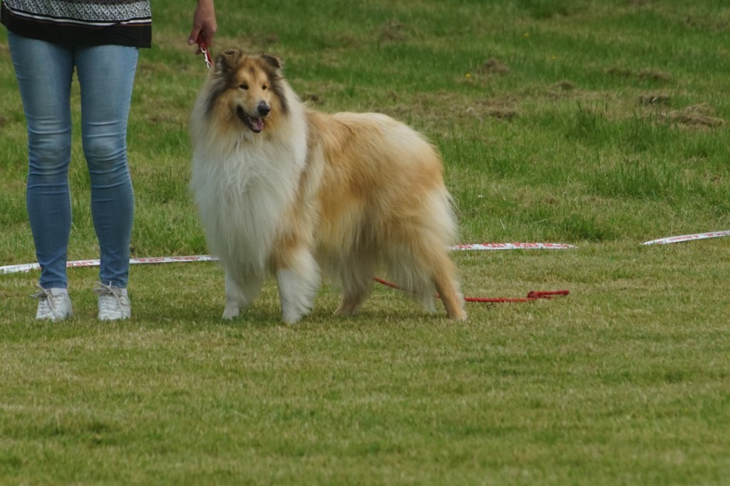 DSC07260
