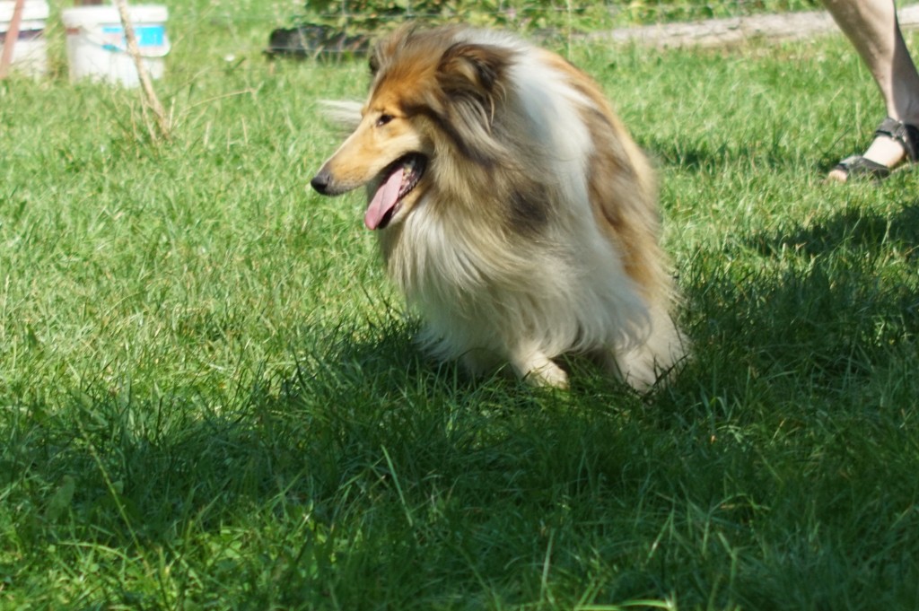 DSC08186