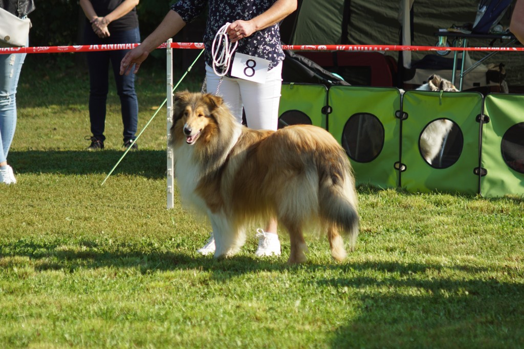DSC08737