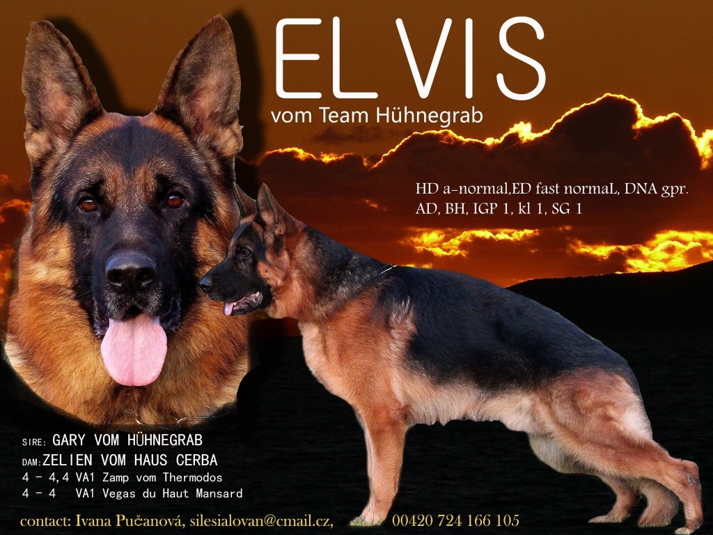 ELWIS 1