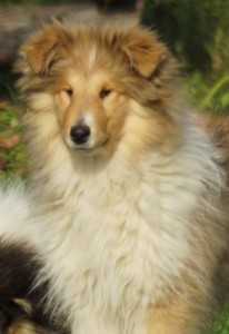 DSC00542-crop