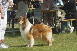 DSC02186