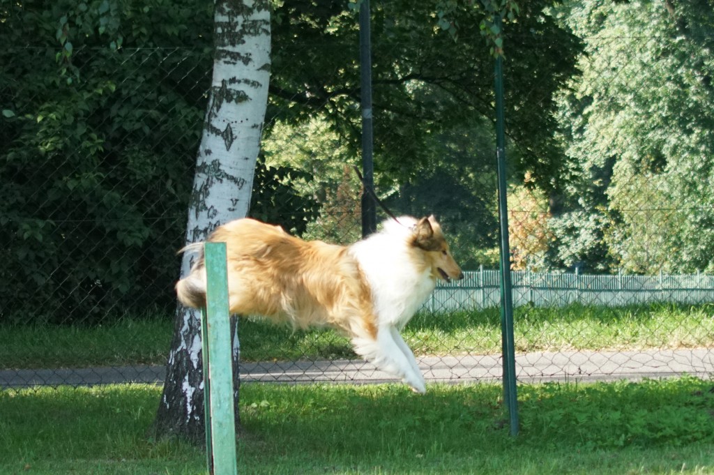 DSC08000