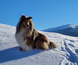 rafa