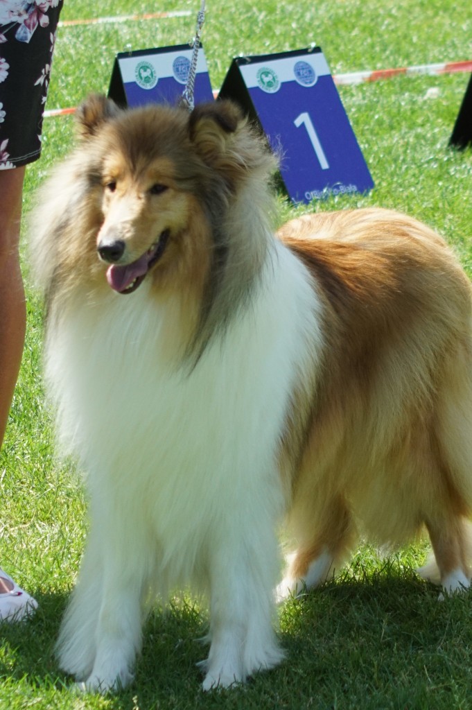 DSC04307