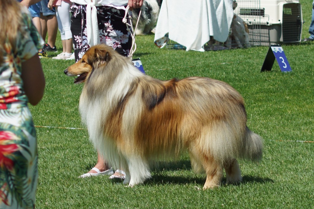 DSC04319