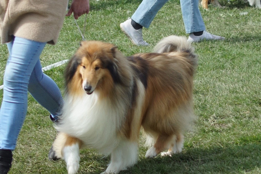 DSC06209