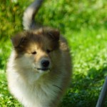 DSC07448