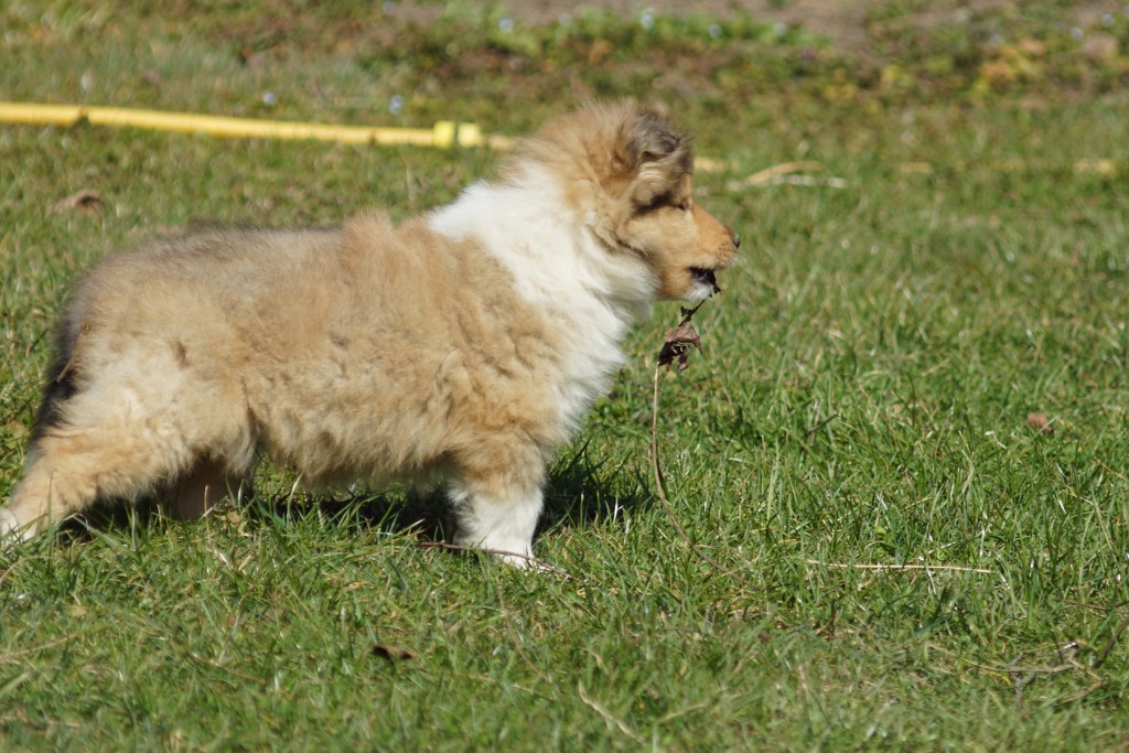 DSC08551